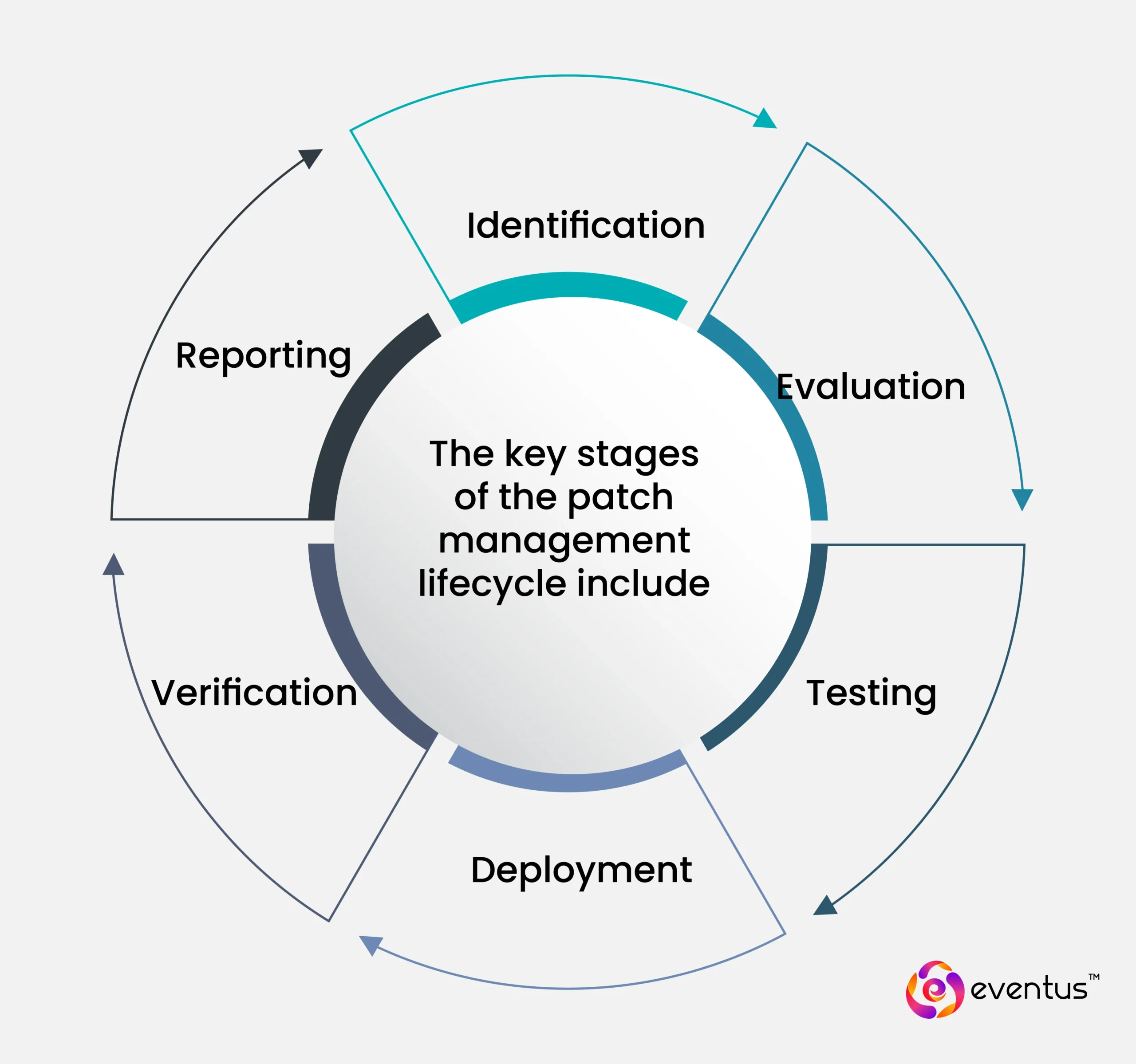 The key stages of the patch management lifecycle